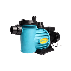 Buy Baracuda Titan 2 SS Pumps (0.55-1.10kW)