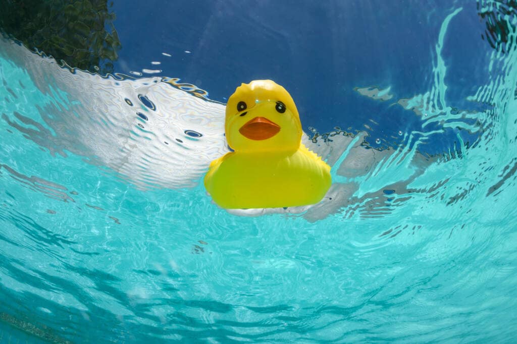 Teaching Little Ones To Swim AdobeStock 312884809 1024x683 1